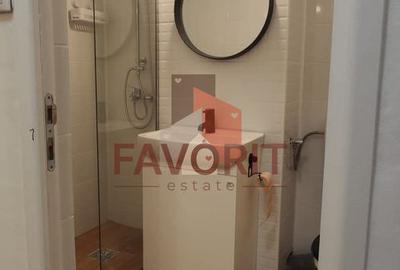 2 camere | recent renovat | mobilat si utilat | zona excelenta | - 14