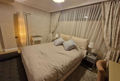 Soseaua Nordului - Herastrau, duplex 2 camere, mobilat utilat modern, terasa - 23