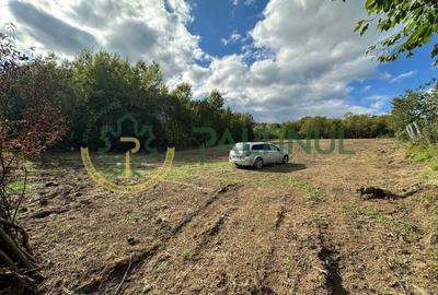 Teren intravilan de vanzare 960 mp Cisnadioara, Sibiu - 13