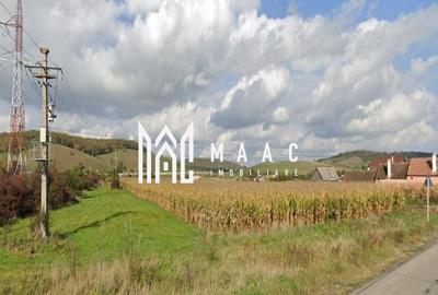 Teren | Proiect Case | Intavilan | 7000mp | Cristian - 1