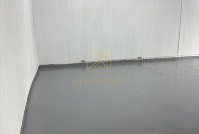 Spatiu Industrial | Pallady - 5