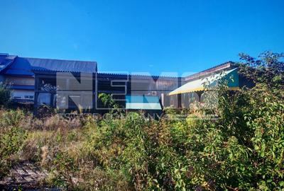 Teren Construcții intravilan de 2519 mp, în Nord-Est