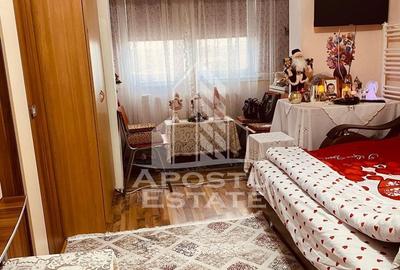 Apartament cu 1 camera,decomandat, centrala proprie,Buziasului - 2