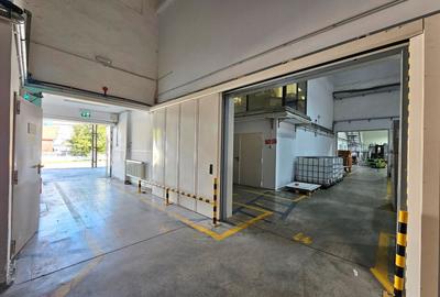 Hale Industriale 5065 mp de vanzare Str. Bradului - Bacau - 8