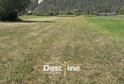 Teren de vanzare Pangarati 58.500 Euro 4488mp Intravilan - 1