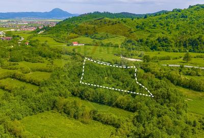 Teren 1ha Valea Glăjeriei - Rasnov | Comision 0% - 3