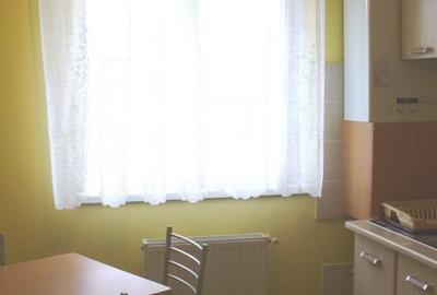 Apartament cu 2 camere in Gusterita - 8