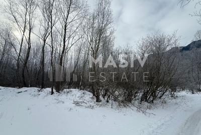 Teren intravilan 6.093 mp – Piatra Arsă, Bușteni, dezvoltare turistică premium! - 6