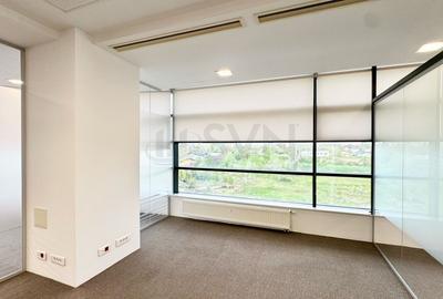 REC3001336 Spatiu de birouri 101 MP I De inchiriat I Cladire de birouri I Barbu - 7