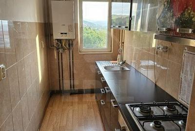 Apartament de vânzare, 2 camere, decomandat, 40 mp, etaj 9/10 Mănăștur Clăbucet - 4