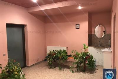 Vila cu 12 camere de vanzare, zona Buna Vestire, 600 mp #10411 - 16