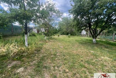 Vanzare casa in Ighiu 890 mp teren - 10