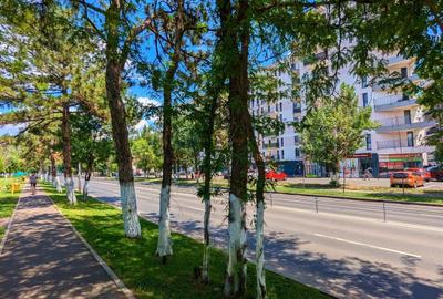 Apartament 2 camere, langa Parcul Tudor Arghezi, Bd. Metalurgiei - 24