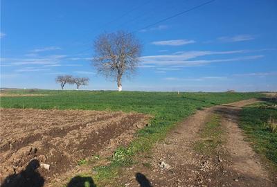 Teren extravilan 4.500- max.18.300mp in comuna Rosia (17 km de Sibiu) - 5