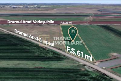 Teren strategic de 45115 mp, lângă viitorul nod al Drumului Expres Arad-Oradea - 4