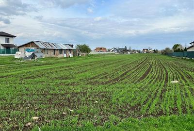 TEREN INTRAVILAN STREJNICU - 3