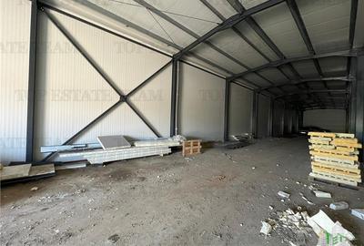 Spatiu comercial stradal, cu toate utilitatile stradal, la 100 m de A 1, pretabi - 15