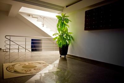 Apartament 2 camere decomandat , bloc 2010, Tătărași, Ciurchi - 4
