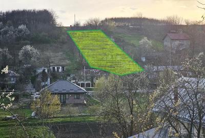 Zona Pitoreasca, teren cu autorizatie, com. Holboca-Rusenii Vechi - 3