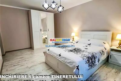 Inchiriere garsoniera Tineretului decomandata renovata langa metrou - 1