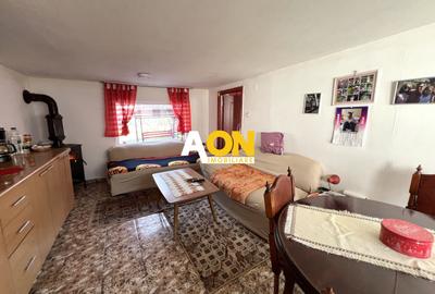 Casa de vanzare pretabila 2 familii, garaj, livada, comuna Pianu - 23