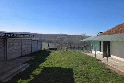 Gospodarie cu atelier si livada de vanzare in Felcheriu, Bihor - 19
