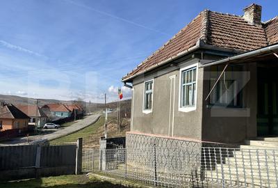 Casa la tara, 4000 mp teren, utilitati, acces A10, sat Dumbrava - 3