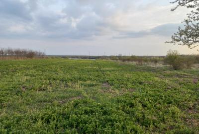 Teren de vanzare in Snagov, Jud. Ilfov - 6