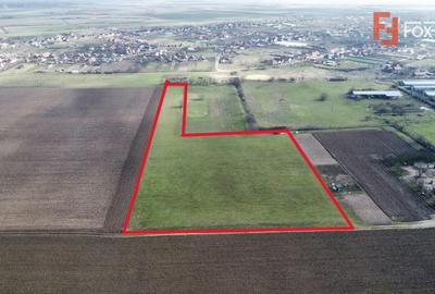 Teren intravilan 2 hectare in Padureni – oportunitate investitie sau dezvoltare - 2
