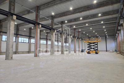 Spatiu Industrial-Mihai Viteazu/Zona Autostrazii A3-Constructie Noua - 2