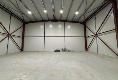Vanzare depozit/hala/spatiu industrial Theodor Pallady - Drumul Intre Tarlale - - 6