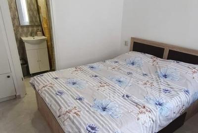 Oportunitate investitie! Apartament, 33mp, zona strazii Bucuresti - 3