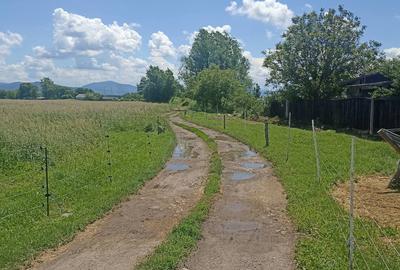De vânzare teren extravilan la Sfântu Gheorghe - 4