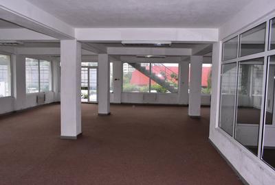 Spatiu comercial 5,4 €/mp, 740mp, Craiovei - Pitesti - 5