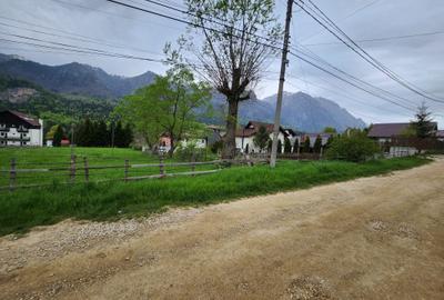 Teren 2.675 mp in Poiana Tapului priveliste peisagistică spre munții Bucegi! - 1