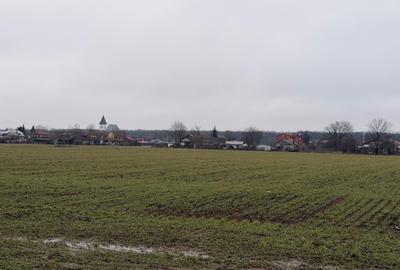 Teren Snagov - Cioflinceni | Drum amenajat | Aproape de Padure si Lac