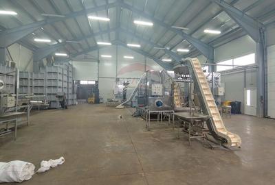 Spațiu industrial-depozit de 1120mp de închiriat în Dumbrăveni, SV - 27