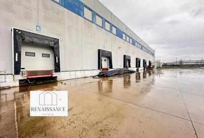 Hala Moderna 6200mp | Panouri Solare - Freidorf - Acces la Centura - 9