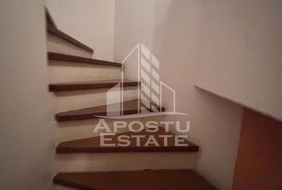 Vilă cu teren 920 mp, pentru familie sau investiție in Timisoara - 18