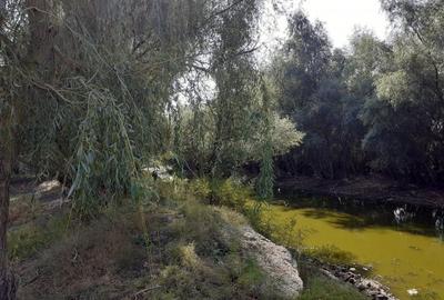 OCAZIE:Teren intravilan Tulcea-19euro/m.p. - 8