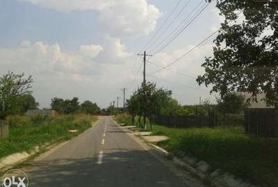 Gradistea 1250mp 25e/mp - 5