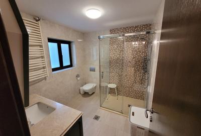 Primaverii Apartament in vila - 10
