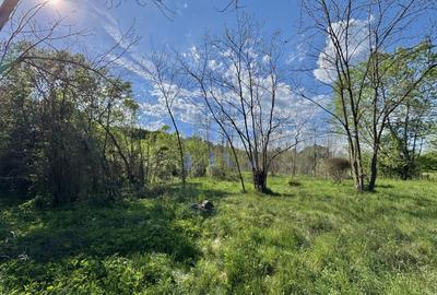 Teren de vânzare – Valea Avrigului, jud. Sibiu | 1.600 mp - 5