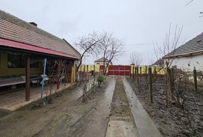 Casă individuală, cu 3 camere, în localitatea Ivanda, la 30 km de Timișoara - 30