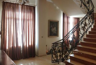 Casa impresionanta de vanzare Cotroceni, teren 680 mp, renovata, garaj dublu - 7