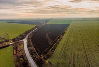 Teren la sosea cu 420 m front stradal - 3