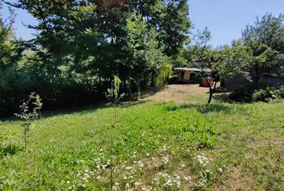 Teren 532 MP si Anexe de Vanzare * Poiana Campina* - 10