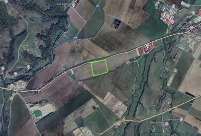 Teren extravilan/agricol 47000mp în Râșnov - 2