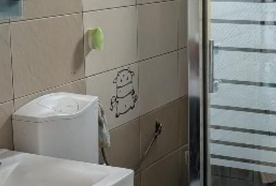 Apartament 3 camere Bucureștii Noi - 7
