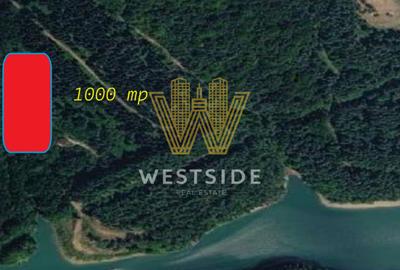 Teren Construcții intravilan de 1000 mp, în Văliug